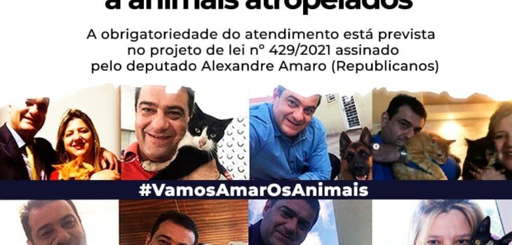 Deputado Amaro cria projeto para multar quem não socorrer animais em vias públicas
