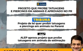 Alep aprova projeto do deputado Amaro, que proíbe tatuagens em animais de estimação