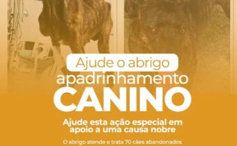 Deputado Amaro faz campanha para ajudar acolhimento canino em Araucária