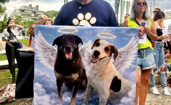 Amaro e equipe participa de evento em prol ao caso do cão orelha