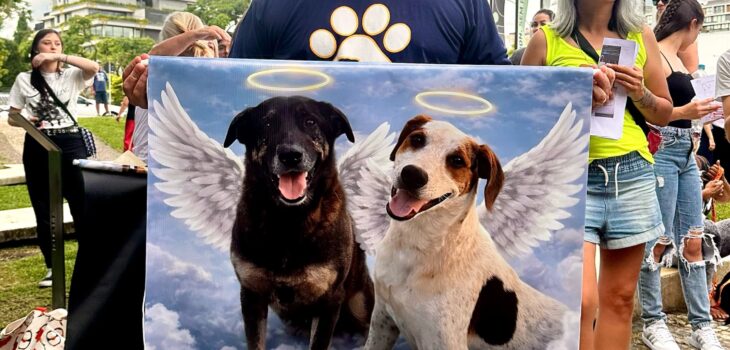 Amaro e equipe participa de evento em prol ao caso do cão orelha