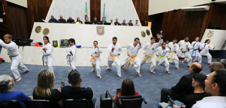 Dezembro Faixa Preta é celebrado em sessão solene na Assembleia